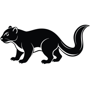 Tayra Vector รูปภาพTayra – เลือกดูภาพถ่ายสต็อก เวกเตอร์ และวิดีโอ4,324 | Adobe Stock