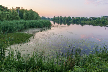 misty morning on the river