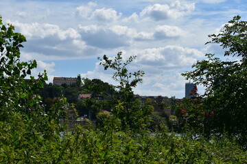 Obraz premium park in city