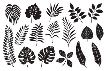 Vector illustration of tropical leaves botanical design elements





