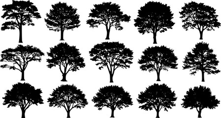 Fototapeta premium set of tree silhouette, black and white silhouette, vector and illustration 