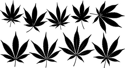 Fototapeta premium set of marijuana leaf silhouette, black and white silhouette, vector and illustration 