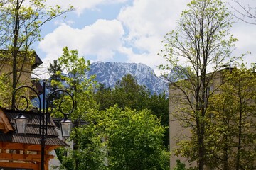 A picturesque view of a mountain range framed by lush greenery and a bright sky in Zakopane - Lesser Poland - Poland
