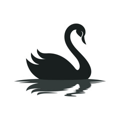 Swan Beside Its Own Reflection