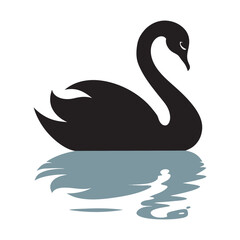 Swan Standing With Reflected Shadow