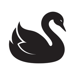 Swan Sleeping With Head Curled Back