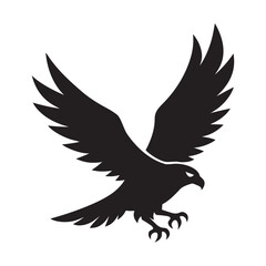 Hawk Soaring With Wings Outstretched