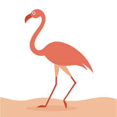 Flamingo Walking On Sandy Shoreline