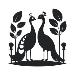 Peacock Pair In Garden Setting