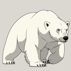 Obraz premium polar bear vector