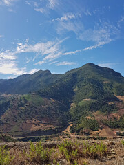A picturesque rural scene depicts green pine trees stretching towards the horizon, illuminated by the warm summer sun, set against a clear blue sky dotted with fluffy clouds.