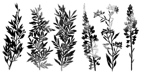 Set of hand-painted watercolor leaves and flowers silhouettes. Delicate floral and leafy shapes with ink texture, ideal for natural-themed design, packaging, prints, and decor projects.
