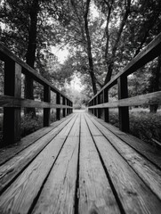 Pathway to the Forest's Heart