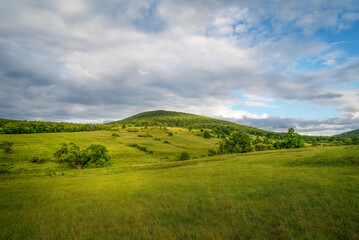 Fototapeta premium green field and blue sky