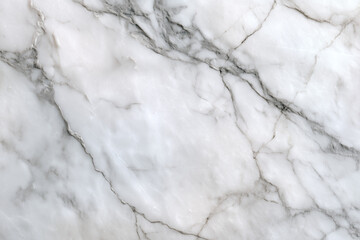 White Marble Countertop with Gray Veins