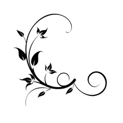 Black vine swirl with leaves curls isolated on a white background