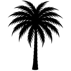 Fototapeta premium A black silhouette of a palm tree with lush green leaves