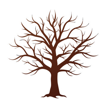A bare tree with intricate branches, brown silhouette on white background
