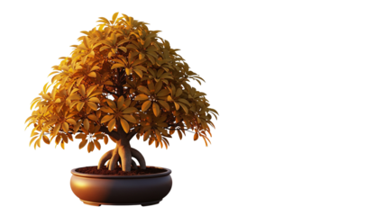 Golden Autumn Bonsai Tree in a Brown Pot Isolated Studio Shot