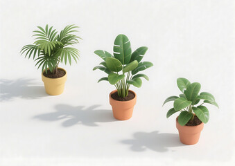 Fototapeta premium tropical plant in a pot