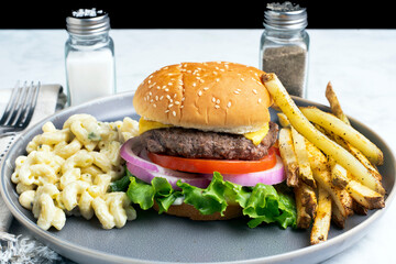cheese burger with  fries and macaroni salad