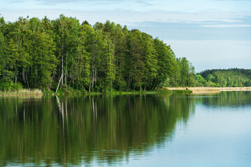 Fototapeta premium Sunny summer landscape on the lake. Reflection of the sky and clouds in the water. A valley of green trees on the shore of a lake. A concept for travel and camping.