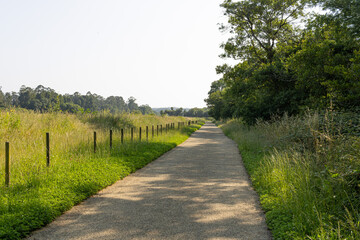 Scenic country pathway surrounded by tall grass and trees under clear skies. Ideal for nature walks, hiking, and outdoor lifestyle themes.

