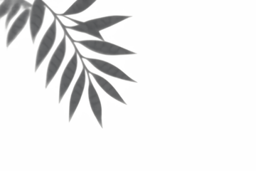 Elegant Leaf Composition