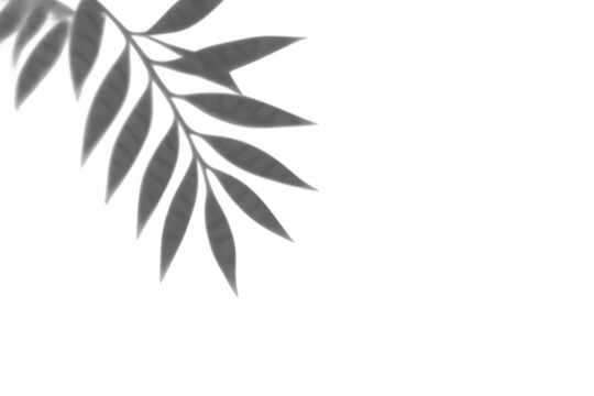 Elegant Leaf Composition