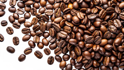 Roasted Coffee Beans Close Up on Transparent Background Close up roasted
