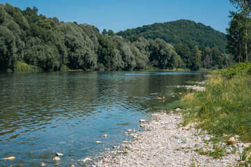 serene view of the Drava River near Ptuj, with calm blue water flowing between rocky, grassy banks. Dense green trees line the horizon under a clear blue sky, creating a peaceful natural landscape.