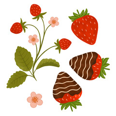 Strawberry clipart bundle – chocolate dipped berries, leaves and flowers, hand-drawn fruity elements for planners, stickers, cards, scrapbooking, sublimation, and summer DIY projects