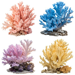 Set of colorful coral reef organisms, marine biology designs, sea plants