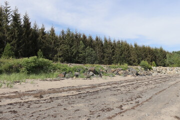 Vast beach and rocks and pines in summer. Charlevoix landscape in Quebec and riverside. Vacation...
