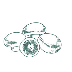 Original hand-drawn illustrations of portobello mushrooms in a minimalist style. Mushroom illustrations for posters, cards, and graphic design.