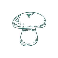 Original hand-drawn illustrations of porcini mushrooms in a minimalist style. Mushroom illustrations for posters, cards, and graphic design.