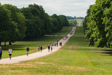 The Long Walk, located in Windsor, UK. Long walking path through a park