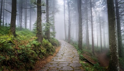 Obraz premium mystical path through a foggy forest 2