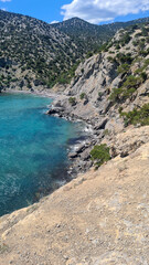 Fototapeta premium Scenic view of the coastline in Noviy Svet, Crimea. Clear turquoise water meets rocky cliffs and lush greenery under a bright blue sky.