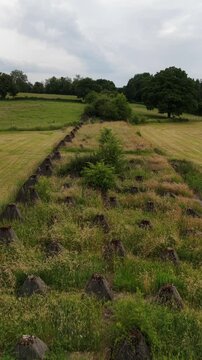 Vertical view of the Dragon Teeth tank barriers from the WWII-era Siegfried Line