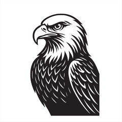 eagle vector illustration