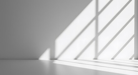 Fototapeta premium Soft Window Light Through Leaves