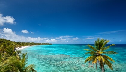 Fototapeta premium turquoise sea under blue sky with palm trees and coral beach coastal scenery in tropical landscape