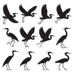 Obraz premium Collection of twelve black silhouette herons in various poses including flying and standing against a white background