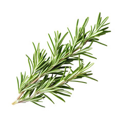 Fototapeta premium Rosemary isolated on white background, Top view, generative ai.