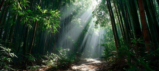 Peaceful forest walkway bathed in soft sunlight through towering vibrant bamboo shoots