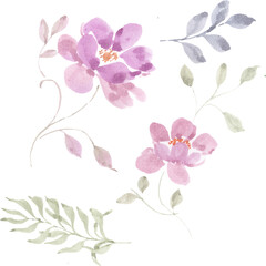 Hand Painted Purple Peony Watercolor Flower