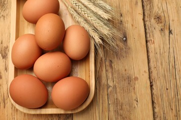 Fresh eggs and spikes on wooden table, above view. Space for text