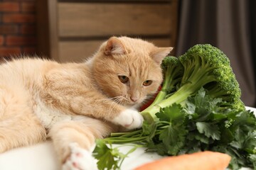 Cat and different vegetables on white table indoors. Pet's balanced diet