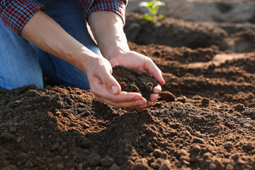 Man holding pile of soil in field, closeup